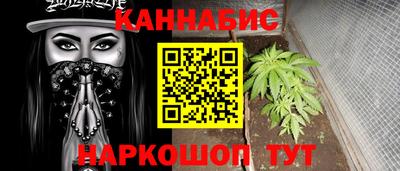прущие грибы Будённовск
