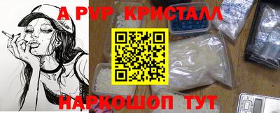 прущие грибы Будённовск