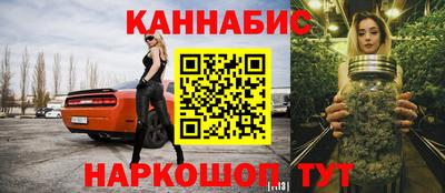 прущие грибы Будённовск