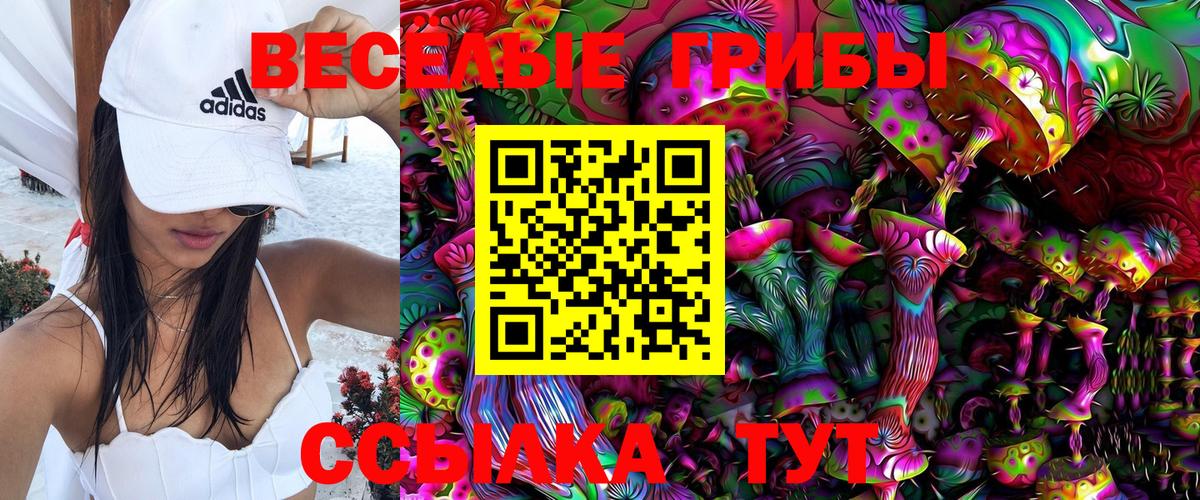 Галлюциногенные грибы прущие грибы  Псилоцибиновые грибы Psilocybine cubensis  Вход с VPN  Нарьян-Мар 